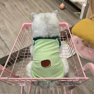 臺灣-熱銷 貓咪夏季衣服防掉毛寵物弔帶背心夏天薄款幼貓小貓英短藍貓佈偶貓