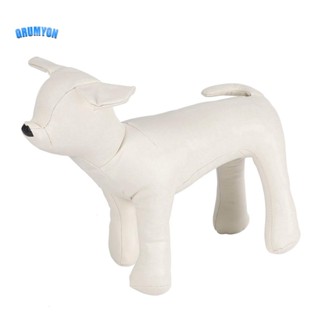 皮革狗人體模型站立位置狗模型玩具寵物動物商店展示人體模型