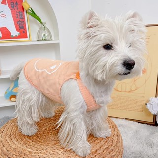 寵物衣服 狗狗衣服 狗狗Ins糖果色吊帶背心 卡通小熊背心 帶牽引扣 貓貓吊帶背心 泰迪 比熊 小型犬幼貓衣服