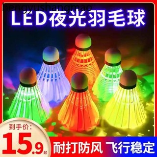 發光羽毛球鵝毛防風耐打尼龍塑膠室外訓練夜間熒光帶燈夜光羽毛球