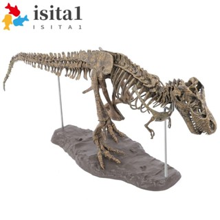 ISITADIY恐龍骨骼玩具,動物雕像霸王龍拼裝骷髏公園,侏羅紀模擬大大恐龍模型DIY兒童玩具