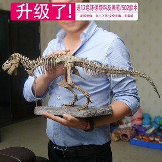 ✨臺灣熱賣✨DIY恐龍骨架 拼裝模型 考古 恐龍骨架 化石 科教 收藏 古生物 拼裝 化石模型 骨架套裝 科教模型