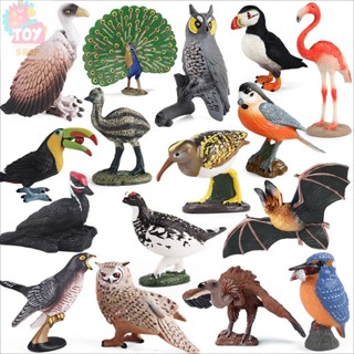 兒童玩具 模擬巨嘴鳥 鸚鵡 鴕鳥 孔雀 貓頭鷹 動物模型鳥類套裝