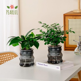 PEARL01水耕植物盆,可拆卸的自動澆水花盆,時尚塑膠透明的迷你多肉花盆桌面花瓶