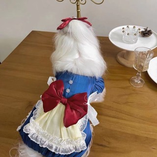 寵物公主裙 狗狗衣服 夏季 薄款 透氣狗狗貓咪衣服寵物公主裙子泰迪馬爾濟斯小型犬春夏
