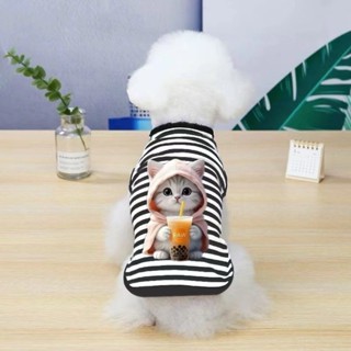 Pet clothing 貓咪衣服春秋薄款防掉毛小貓貓藍貓英短幼貓寵物狗狗透氣兩腳衣服 新款 現貨 25.4.11