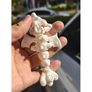 [Meow.Sensei]3D列印櫻花龍全身關節可動模擬龍手辦模型兒童的玩具龍裝飾擺件