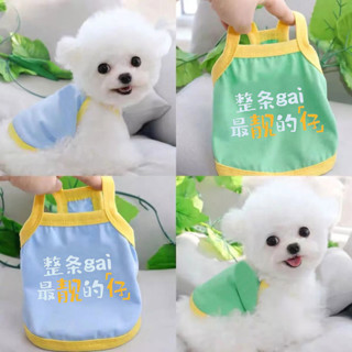 Pet clothing 寵物衣服小狗狗吊帶背心薄款韓版衣服小型犬泰迪比熊博美貓咪 新款 現貨 25.4.11