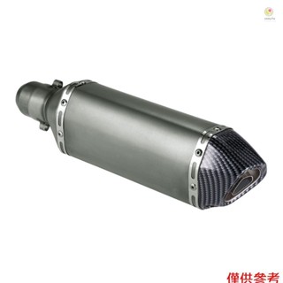 Casytw 38-51mm 金屬色小六角碳纖維彩色斜尾改裝排氣消聲器帶適合摩托車沙灘車通用