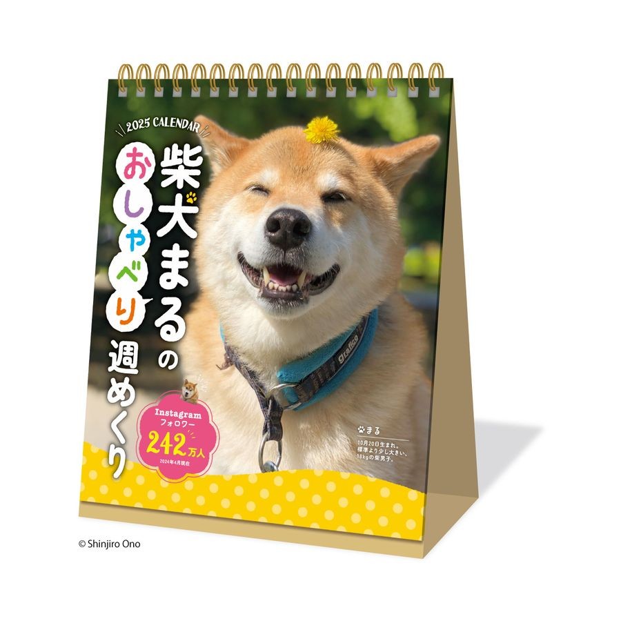 2025柴犬桌曆的價格推薦- 2026年1月| 比價比個夠BigGo