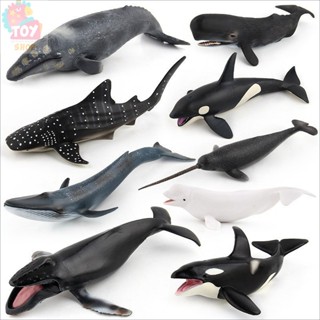 超大隻模擬靜態實心PV海洋生物動物模型擺件鯨鯊抺香鯨藍鯨兒童玩具