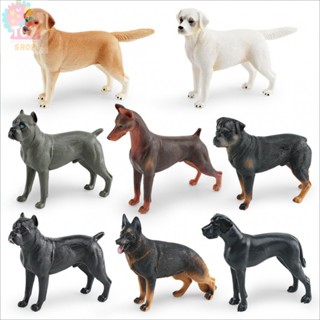 兒童科教認知玩具 模擬拉布拉多寵物狗動物模型 牧羊犬羅威納犬桌面玩偶擺件