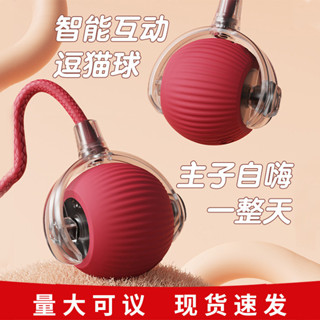 【臺灣毛孩瘋玩】智慧電動滾滾球｜自嗨+互動雙模式｜防纏繞繩球設計