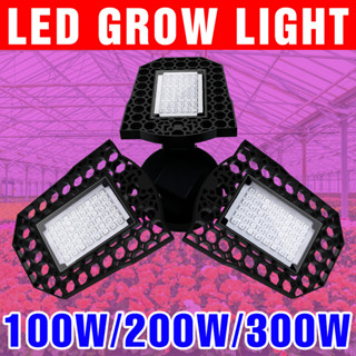 300w LED 植物生長燈 E27/E26 全光譜補光燈 100-277V 可變形 200W 溫室帳篷蔬菜水培栽培燈多