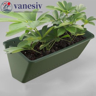 VANESIV花盆,塑膠壁掛種植箱,花架垂直綠色種子容器蔬菜