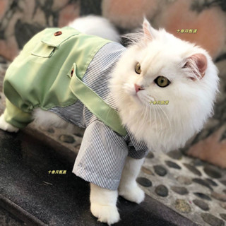 臺灣-熱銷 貓咪衣服夏季薄款防掉毛佈偶小奶貓寵物衣服狗狗泰迪比熊柯基衣服