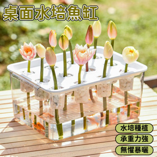 桌面水培魚缸 生態魚缸 迷你魚缸 水培盆 水培花盆 水培植物 水培盆栽 水耕盆栽 水培瓶 壓克力缸 塑膠魚缸 塑膠缸