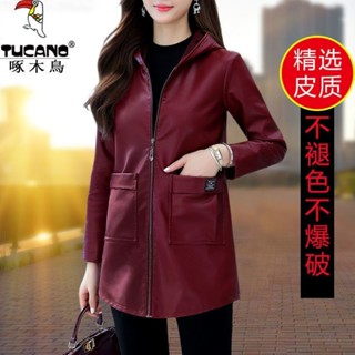 【啄木鳥】正品現貨 高檔PU皮衣外套 中長款女2025春秋新款韓版大碼寬鬆減齡風衣
