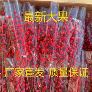 發財果200支模擬花招財花發財果仿真花紅果冬青果幸運果花瓶插花落地擺件假花發財果模擬花招財花發財果仿真花紅果