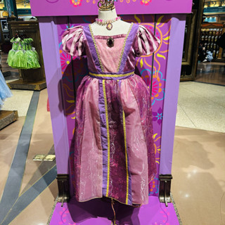 上海迪士尼代購 長髮公主樂佩卡通動漫女童洋裝禮服公主裙子