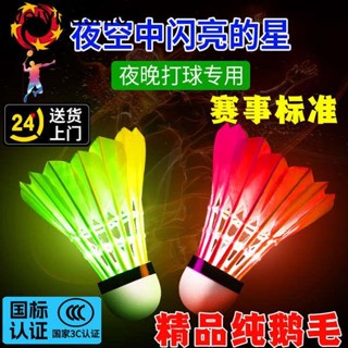 夜光羽毛球純鵝毛防風耐打室內外訓練尼龍塑膠夜間熒光燈發光球