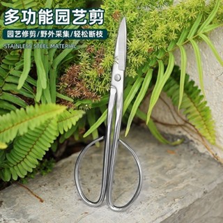 臺灣出貨 強力全不鏽鋼園藝剪葉芽剪嫩芽剪刀插花盆景枝葉剪修枝小枝剪加厚 園藝工具