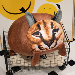 JAMXUN 40cm 搞笑醜貓毛絨卡哇伊蓬鬆毛絨玩具沙發枕頭可愛房間裝飾傢居裝飾節日禮物兒童禮物