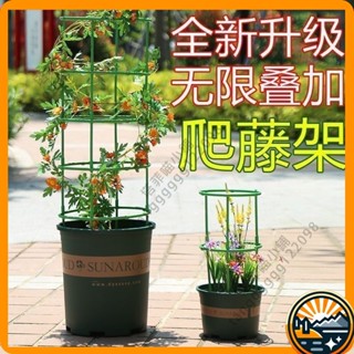 臺灣出貨 植物支架 植物支撐 植物支撐桿 盆栽支撐架 盆栽支架 爬藤支架 花盆支架 蘭花支架 園藝支架 蝴蝶蘭 限時下殺
