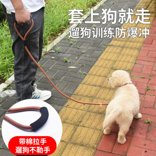 現貨 狗繩訓犬p鏈 防爆衝遛狗繩 拉布拉多狗鏈 中型犬p繩 大型犬狗狗牽引繩 寵物用品