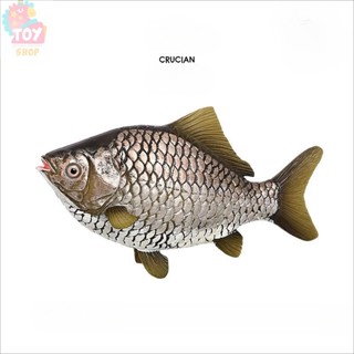 兒童認知玩具 模擬海洋動物模型 淡水魚鯽魚鯉魚魚缸裝飾擺件