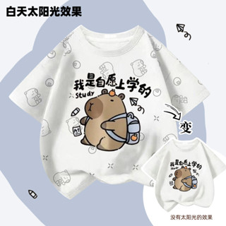 25-04 新品發佈 ALLL2025新品太陽光變網紅卡皮巴拉純棉兒童短袖中大男女童T恤上衣