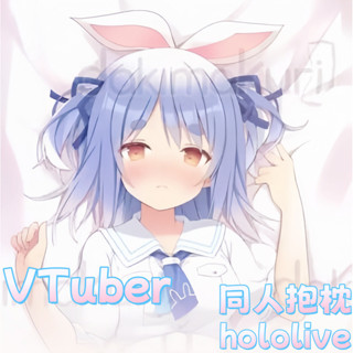 Vtuber 虛擬主播 hololive 二次元動漫遊戲周邊等體抱枕遊戲動漫角色雙面印花人形長條抱枕套 桃皮絨 2WT材
