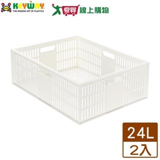 KEYWAY聯府 超大總理萬用籃 DT41【2件超值組】臺灣製 收納 置物 整理【愛買】