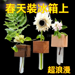 🔥桃園出貨 試管花瓶小冰箱貼水培養花插花器房間擺件裝飾品磁性貼磁吸玻璃管