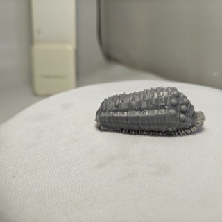 【現貨】王蟲 風之谷王蟲 宮崎駿 風之穀 王蟲 手辦 模型 3d列印
