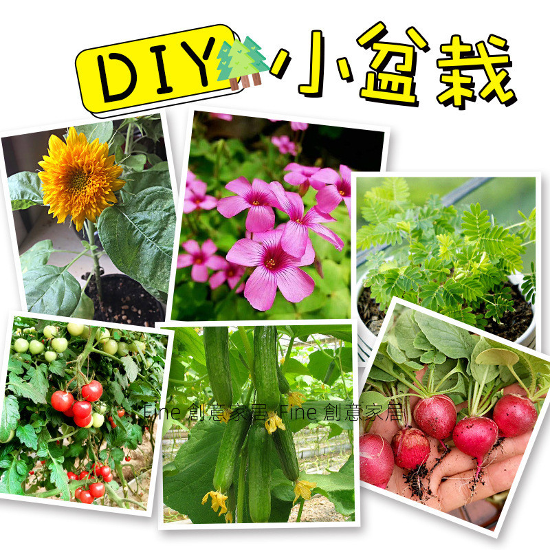 兒童手工diy幼兒園製作開心農場盆栽迷妳創意種植材料包植物