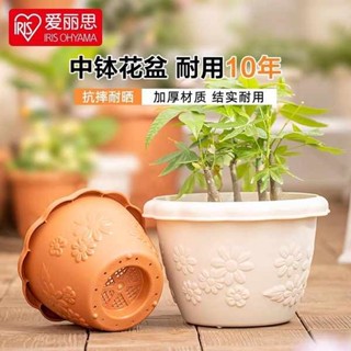 盆栽 塑膠花盆 多肉花盆 花盆 生態瓶 愛麗思花盆圓型波紋塑膠大口徑愛麗絲樹脂仿陶瓷大小號綠蘿多肉盆