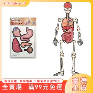 臺灣出貨 安靜書 骨骼器官 內臟可動可拆卸構造 兒童科敎益智玩具 人體構器官模型拼圖 人體器官玩具 醫生玩具
