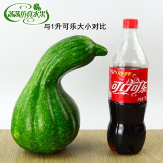 哈嘍玩具 模擬大彎瓜蔬菜泡沫特大號彎瓜蔬菜模型大南瓜彎瓜道具攝影道具