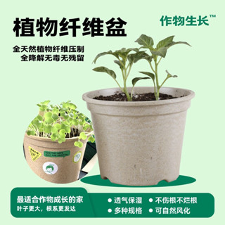盆栽 多肉花盆 塑膠花盆 花盆 生態瓶 作物生長可降解種植盆大中小號綠色環保天然透氣保水植物纖維花盆