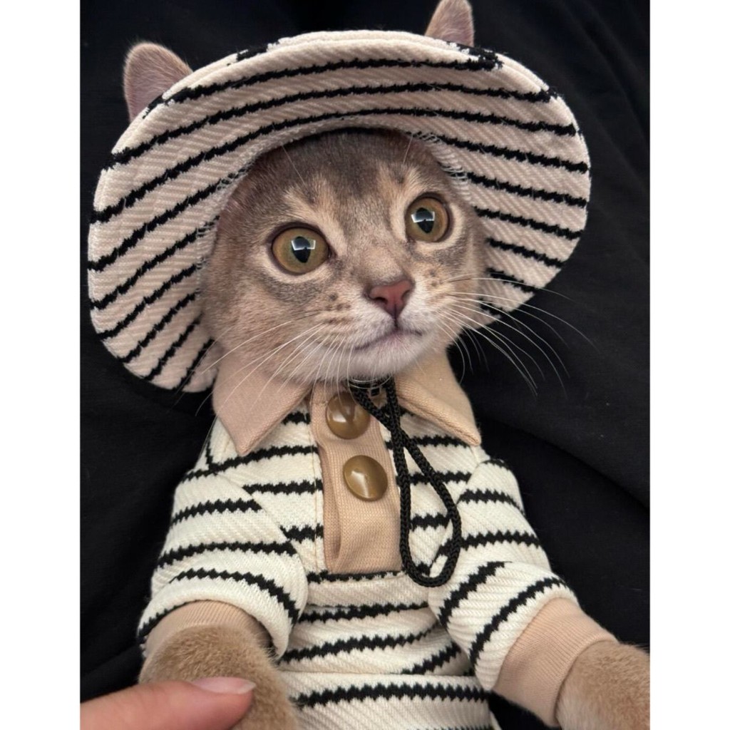 【JIWU】春秋小清新滌棉POLO衫漁夫帽套裝斯芬克斯無毛猫德文衣服洋氣