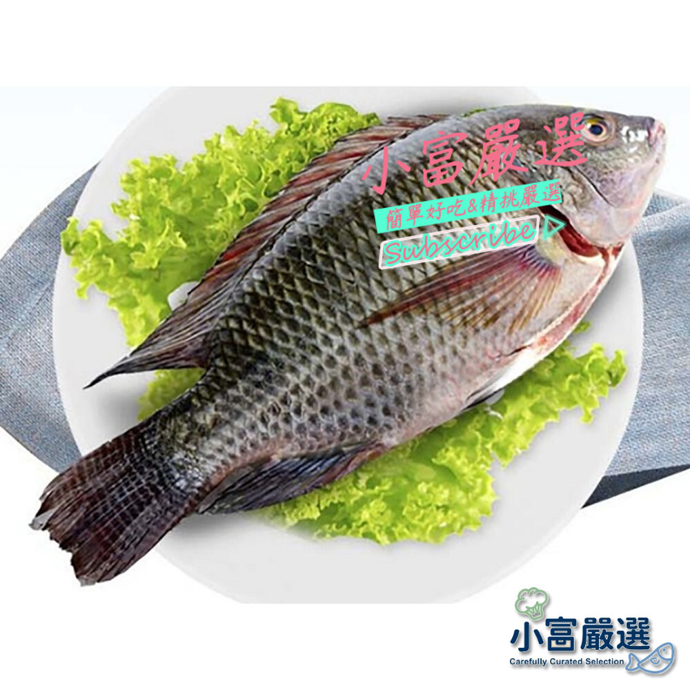 【小富嚴選】鯛魚鱸魚土魠類-台灣鯛吳郭魚整尾一件尾上下(三去的喔)特價元 另有台灣鯛魚片/