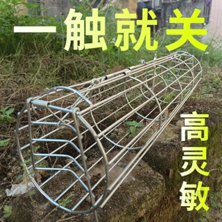 💮 【雙門設計】地鼠籠 野鼠籠 捕鼠籠耗子籠自動捕鼠籠雙門圓形鐵鼠籠子老鼠籠子 S R
