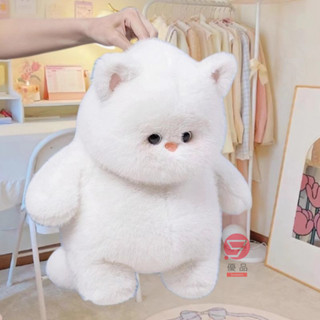 【在臺出貨】貓咪玩偶 網紅 可愛 超軟毛絨玩具 白色玩偶 小貓公仔 超萌娃娃禮物 睡覺玩偶 生日禮物 送小朋友