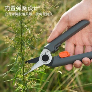 現貨 Jimmy Home 園藝剪刀花園修枝剪修枝剪樹木剪專用剪刀手工製作 250B406