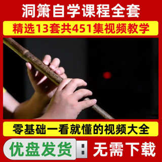 洞蕭教程自學U盤自學程式設計全集影片課程入門學習優盤教程學習東小教程:U盤全集20250417