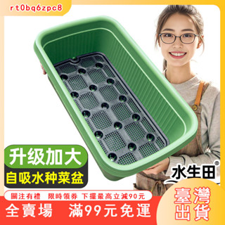 臺灣出貨 【加大款】種菜專用盆家庭種菜盆神器自動吸水花盆儲水塑膠種植箱