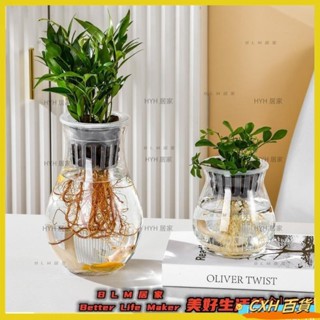 CXH 水耕瓶 水耕花器 水耕盆栽 水培植物瓶 花器 水耕籃 魚菜共生 水耕植物 居家佈置 龜背芋DIY07