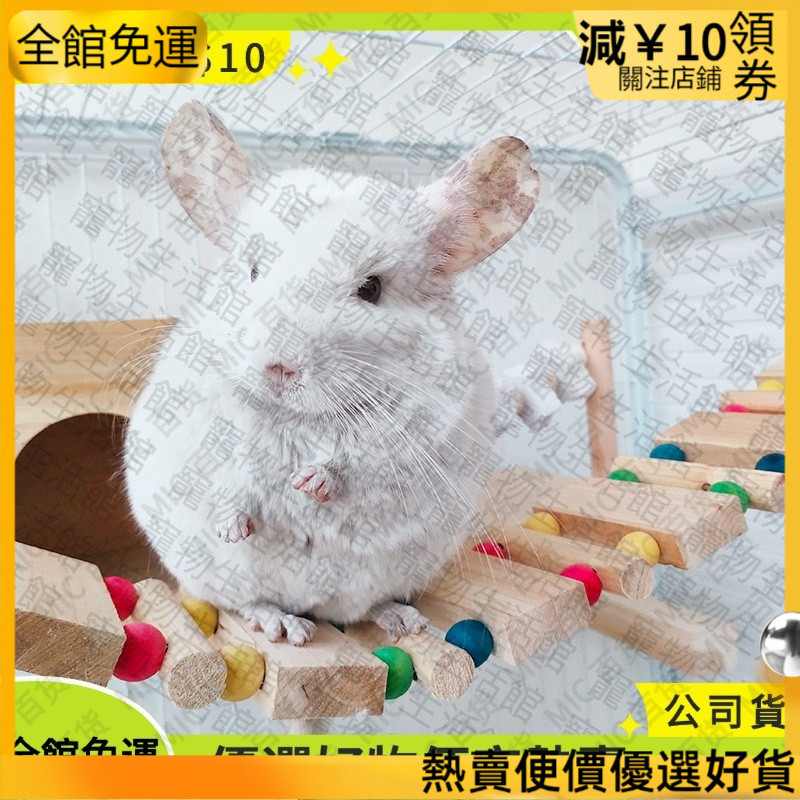 熱賣🔥優選好物 【優選💥熱賣】 龍貓傢俱 杉木軟橋 龍貓鬆鼠弔橋攀爬軟梯 不夾腳 彩色鞦韆 籠子籠櫃通用
