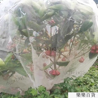 臺灣出貨 【1.3萬人收藏】植物防蟲網罩果樹防蟲放白粉蝨防鳥防曬網套蔬菜防果蠅套袋網紗網